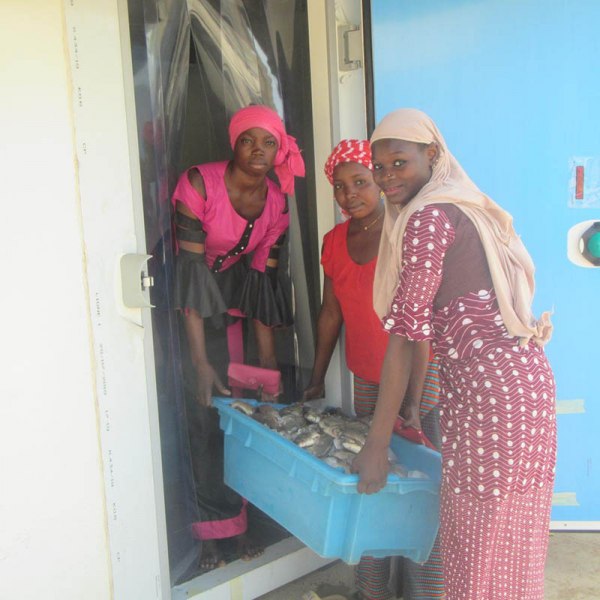 Segou mareyeuses, crédit photo ENABEL